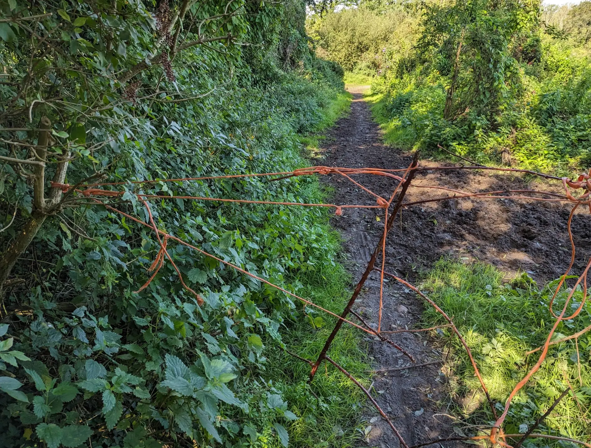 John came across the 'trap' while cycling in Berkshire.