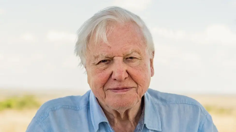 Attenborough's eyes 'absolutely lit up' over the find.