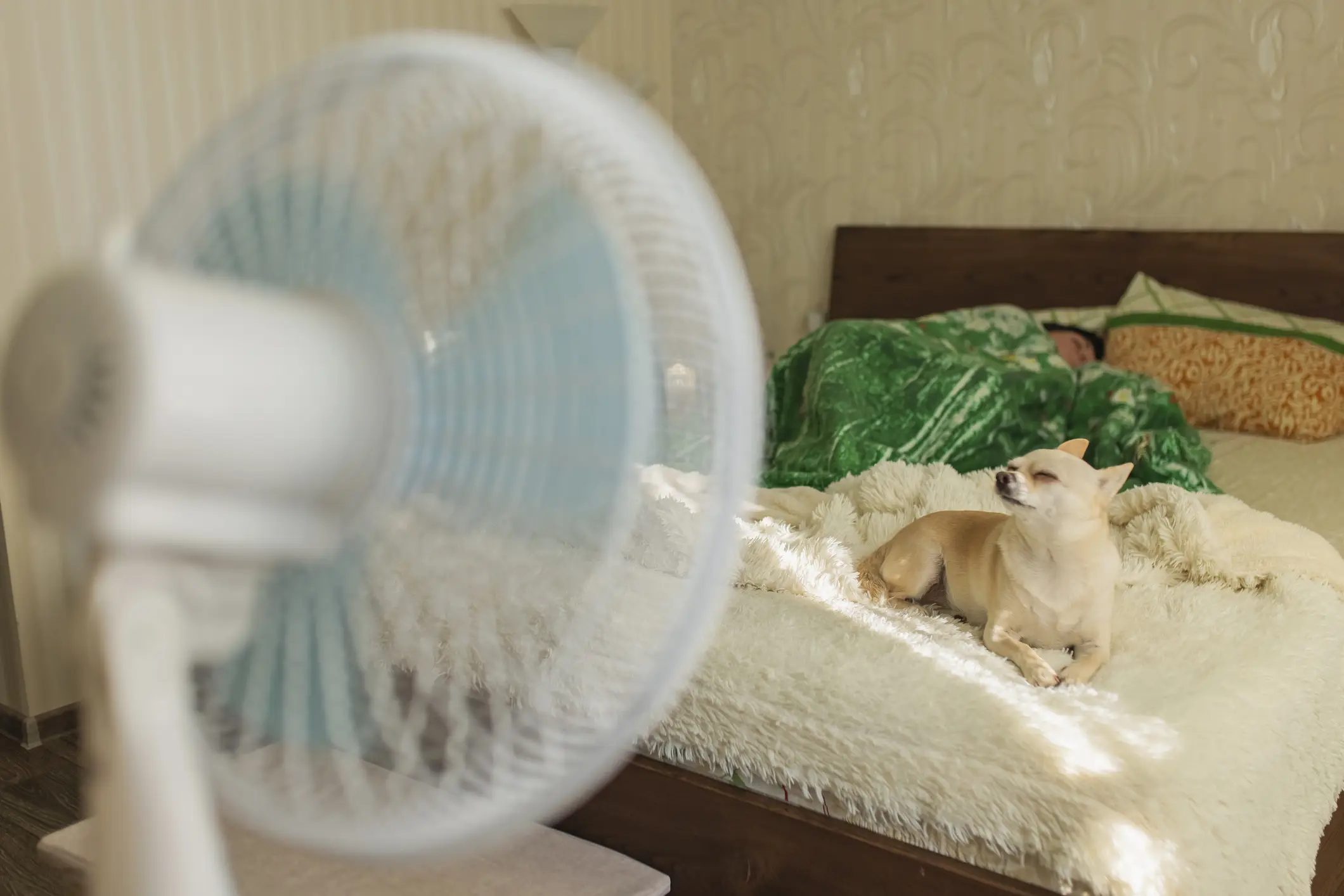 Sometimes staying at home where it's cooler may be the better option (Getty Stock)
