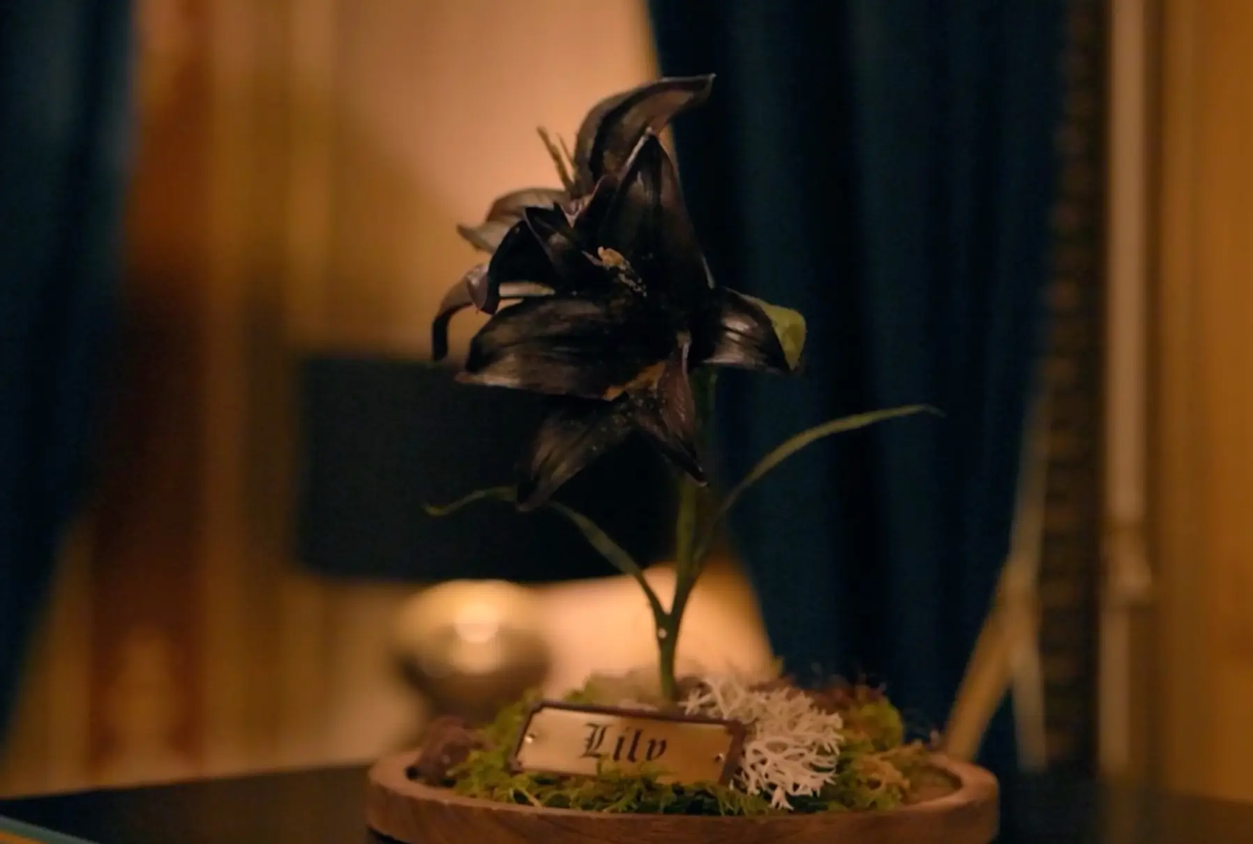 The lid was not put back on, something the Faithfuls may noticed if it's not fixed. (BBC)