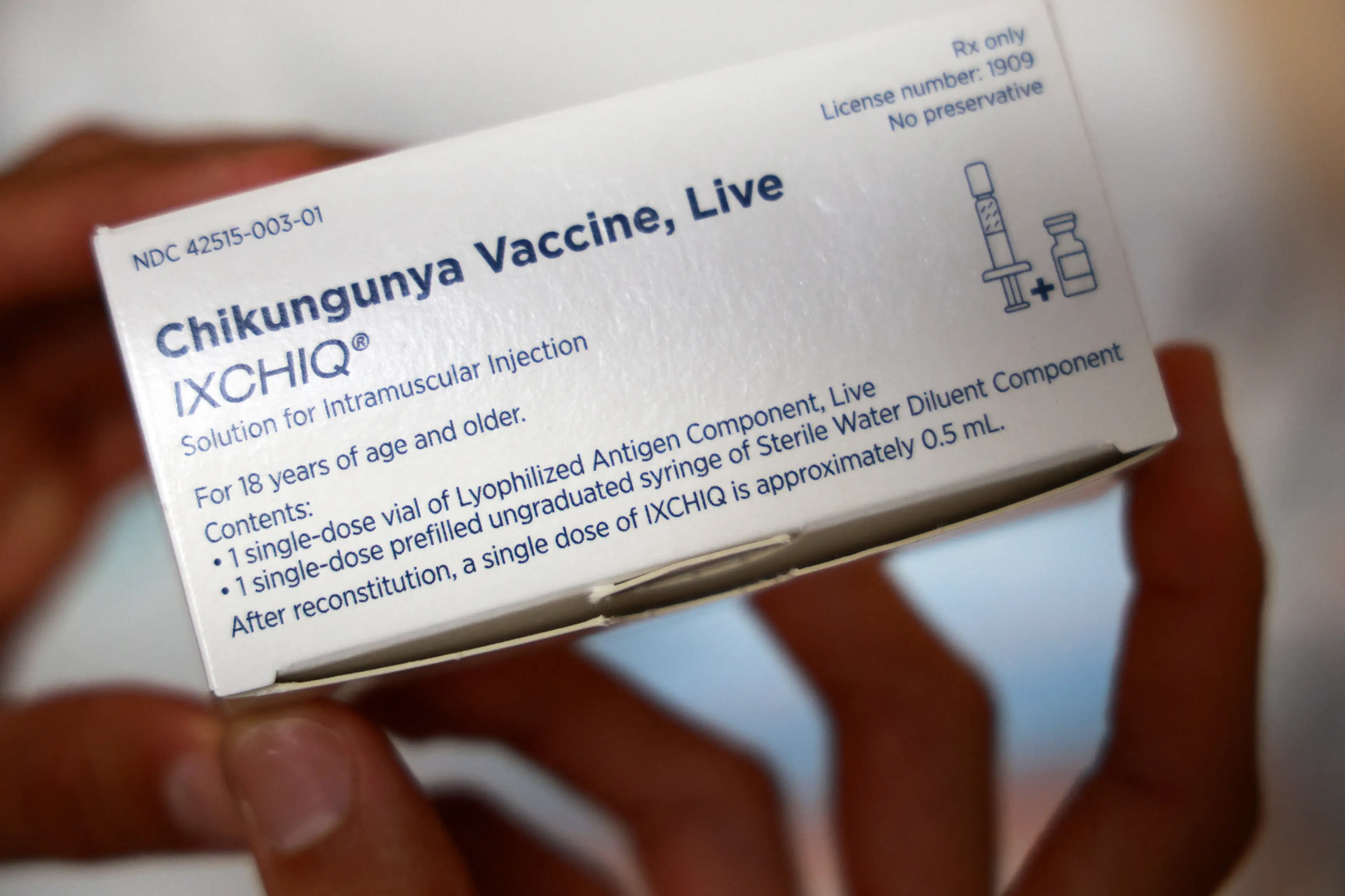 Fortunately for those worried about another pandemic on Covid levels, we already have vaccines for Chikungunya (RICHARD BOUHET/AFP via Getty Images)