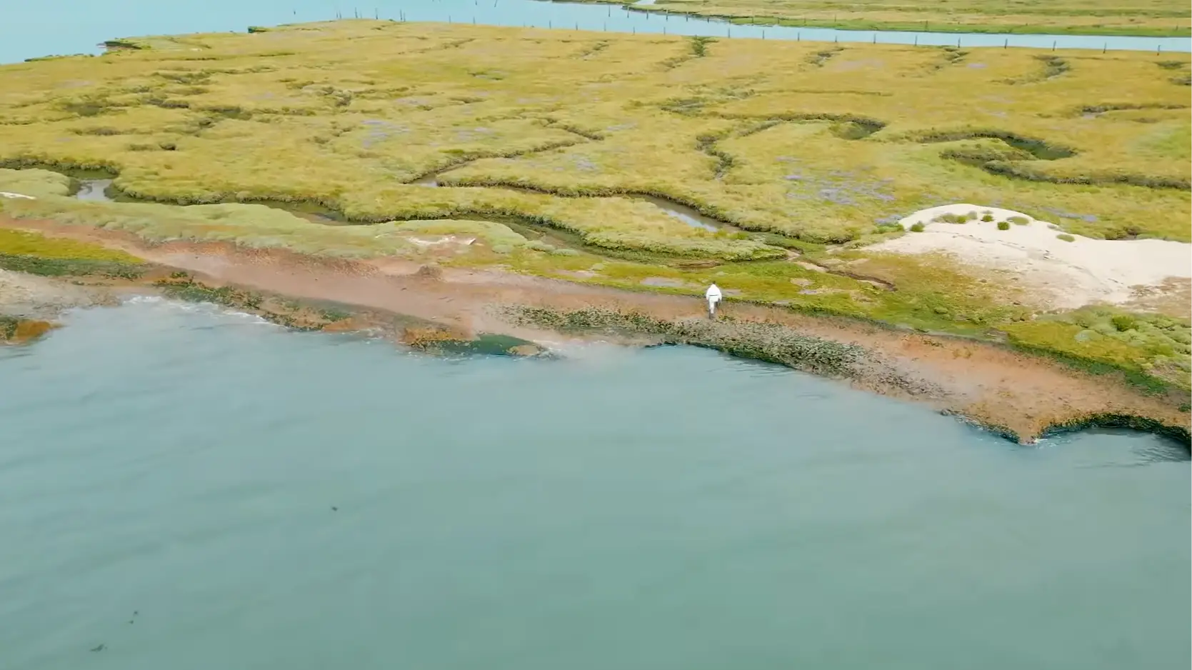 Deadman’s Island: Truth behind UK’s ‘most infected island’