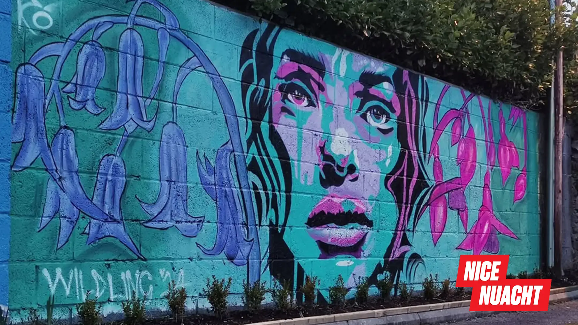 Ronny J Connor artwork Wildling ’24 (Instagram)