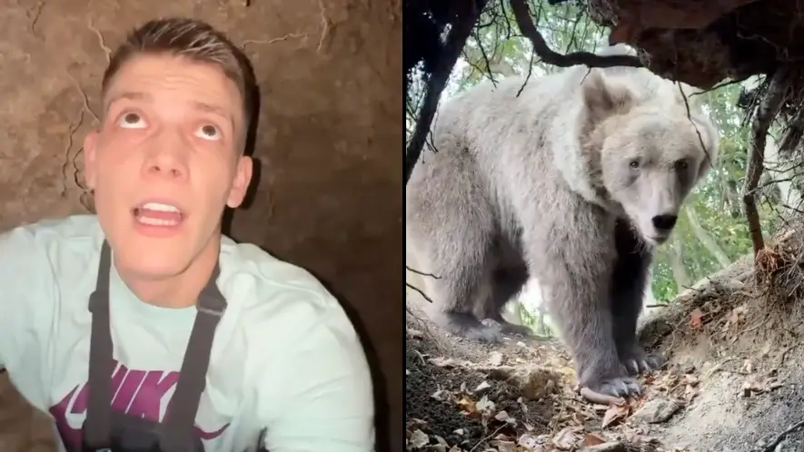 Man comes face-to-face with bear when climbing into pit with 'nowhere to run'