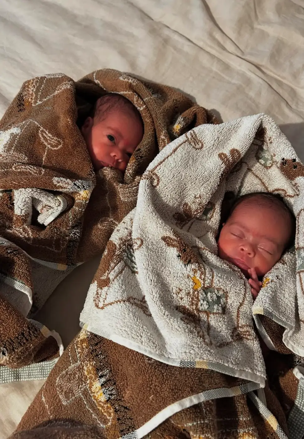 The 34-year-old who shares the twins with her ex-fiancé Zion Foster (Instagram/@jesynelson)