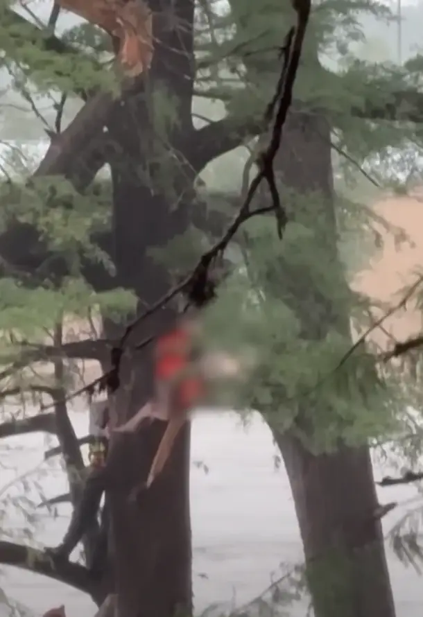 The moment the woman was rescued by authorities (KENS5)