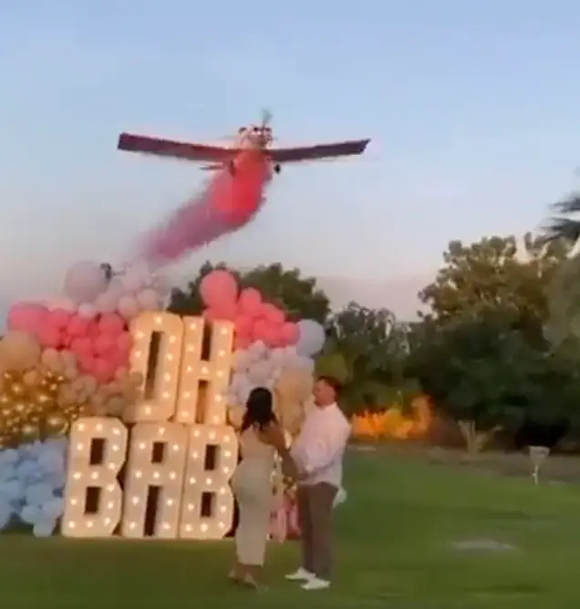 The plane tragically crashed (X/@aviationbrk)