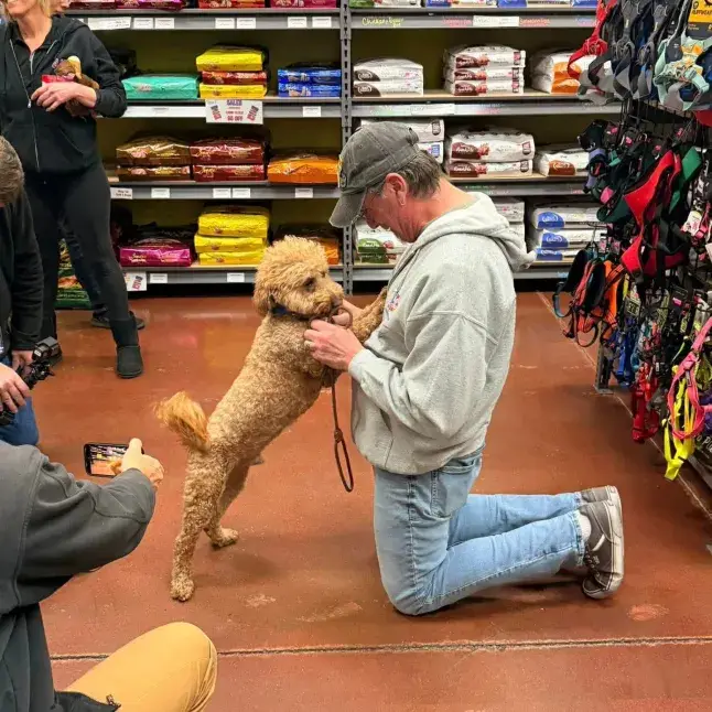 Jet Blue is now looking for a new owner (Facebook/Retriever Rescue of Las Vegas)