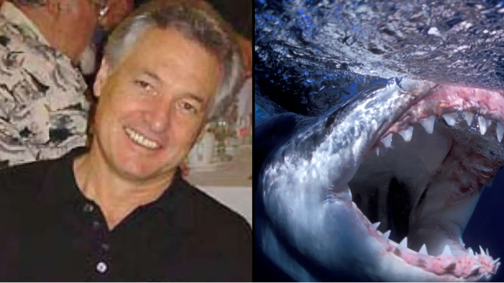 Stephen Frink via Getty Images / norcalskindivers