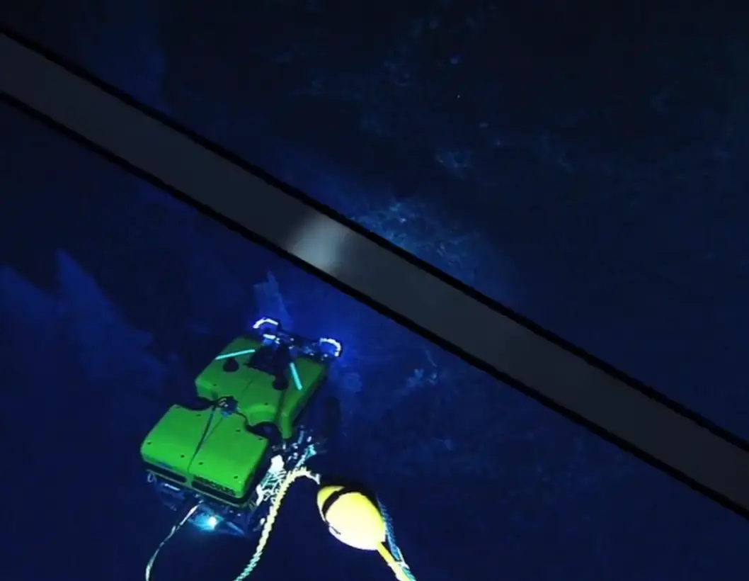 The environment was only discovered 24 years ago (Open Ocean Exploration)