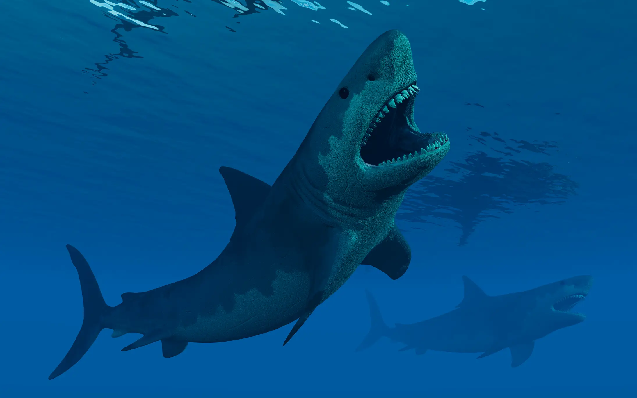 The megalodon ruled the oceans during the prehistoric era (Getty stock images)