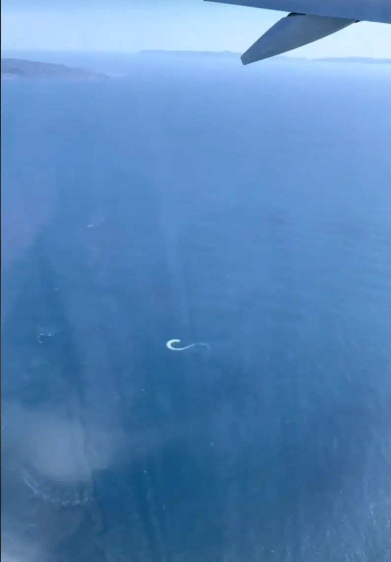 He 'drew' an infinity symbol in the sea below her. (Camille Zea)