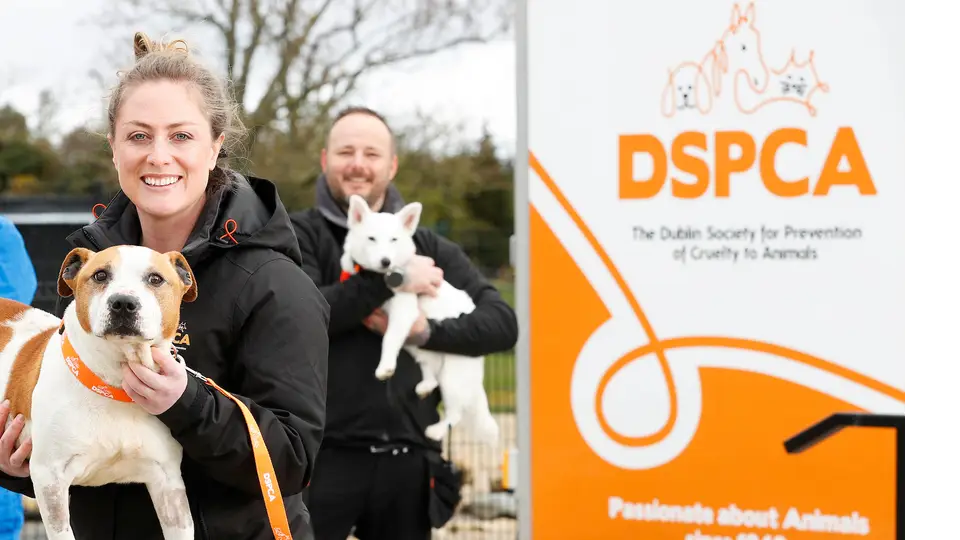 dspca