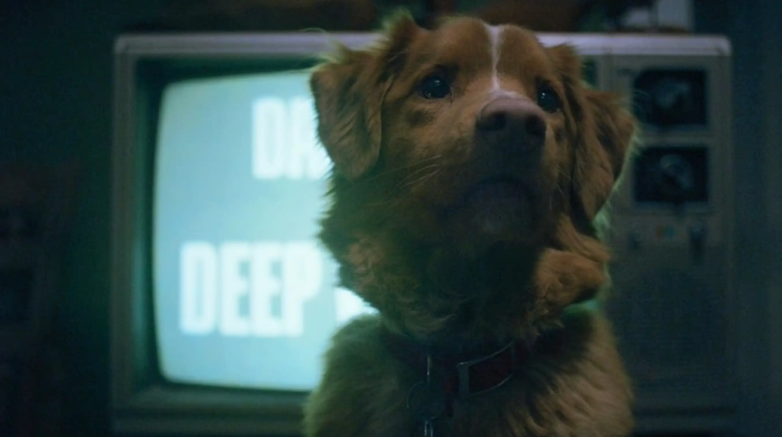 The horror film went viral for its unique concept (IFC Films)