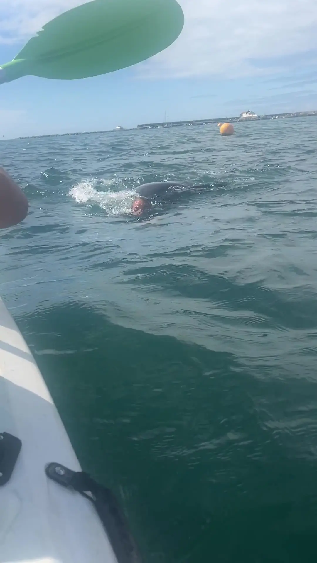 He's apparently started 'targeting women in wetsuits' (SWNS)