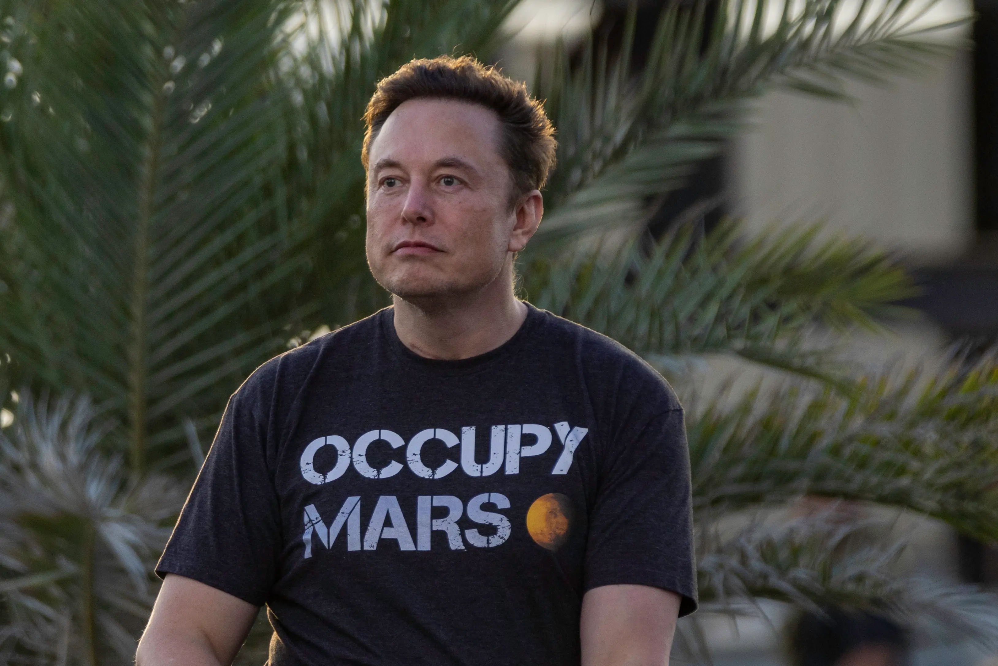 Elon Musk apologised for the Starlink outage (Michael Gonzalez/Getty Images)