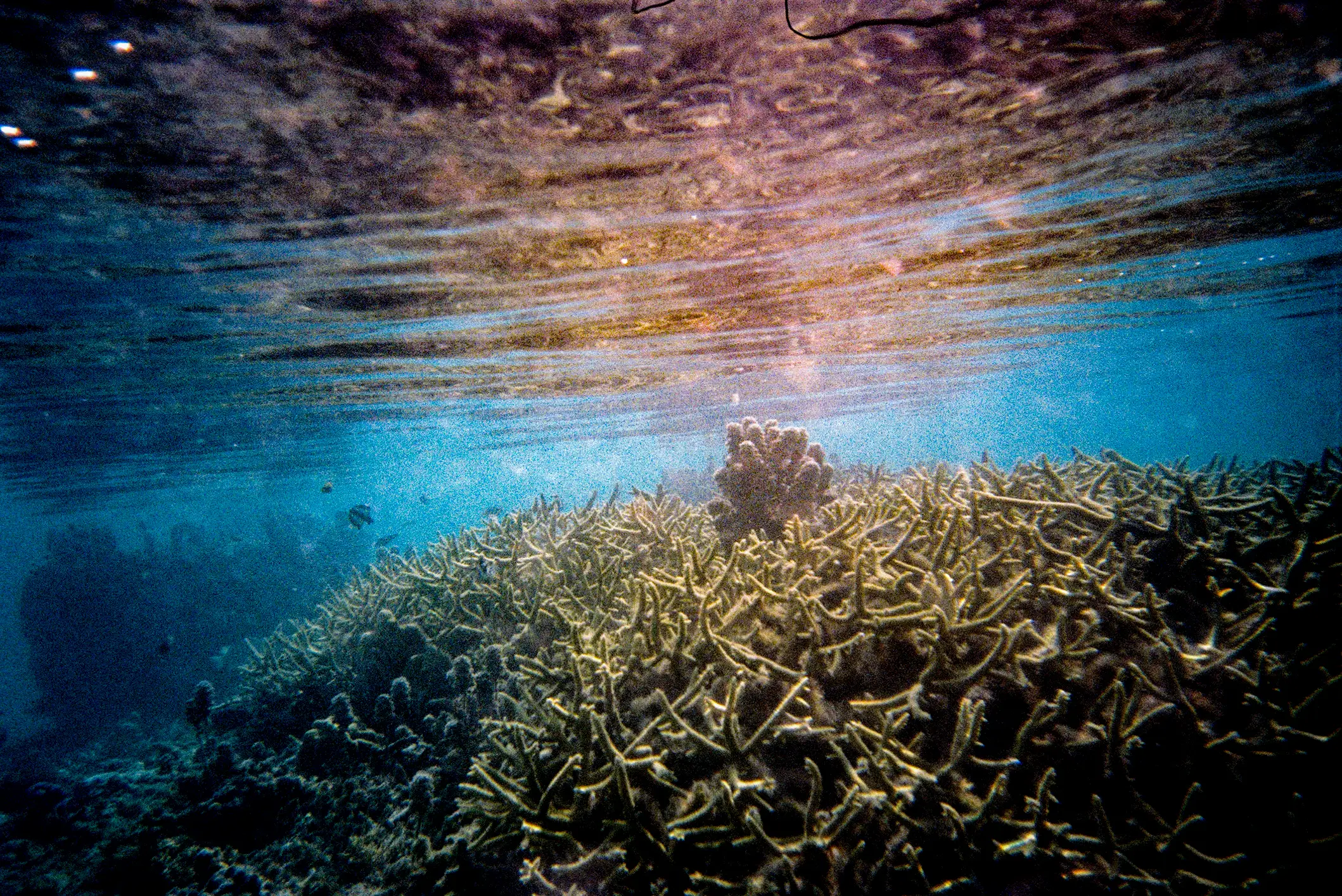 90 percent of the ocean remains unexplored (Getty Stock Images)