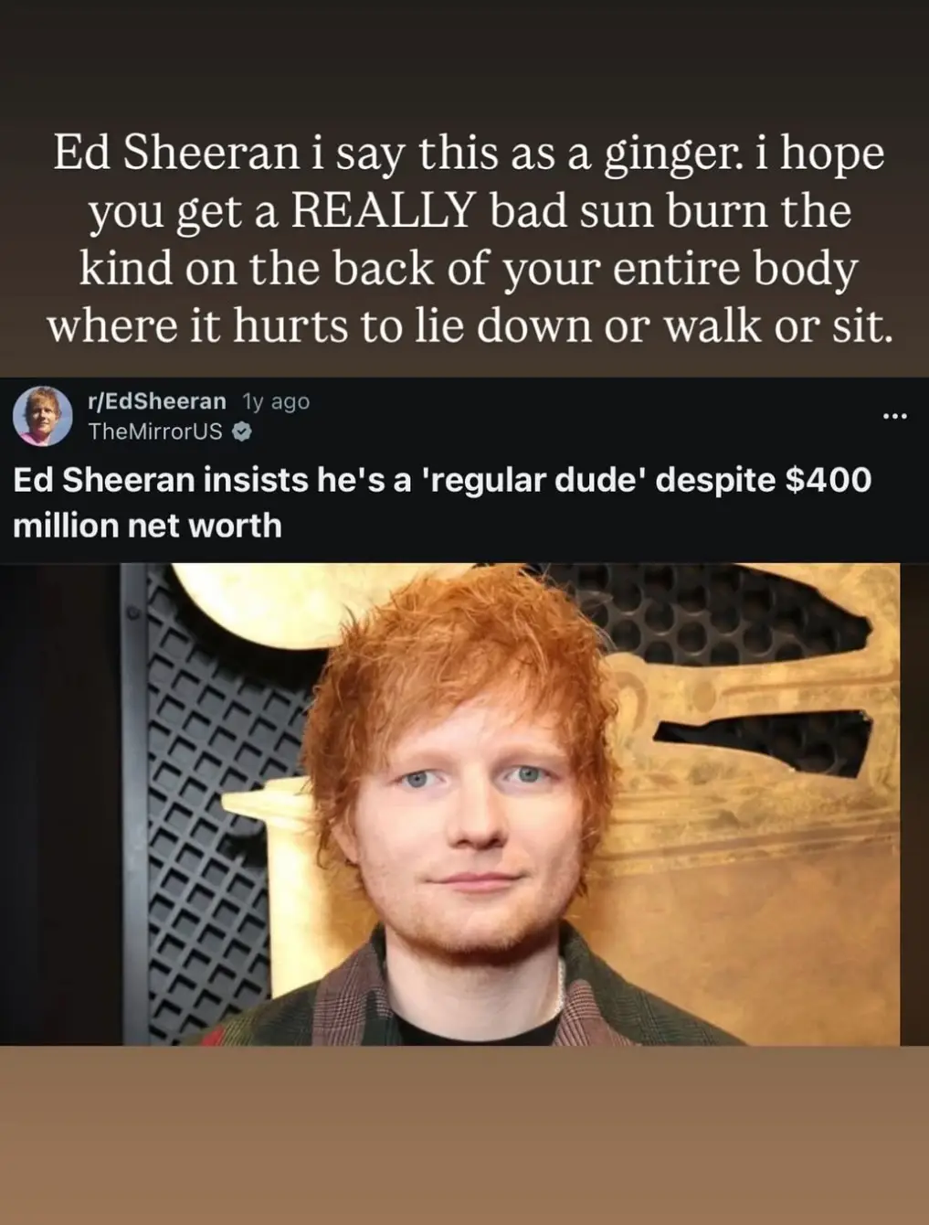 She shared a series of pro-Palestine posts and a jab at Sheeran (Instagram/@hannaheinbinder)