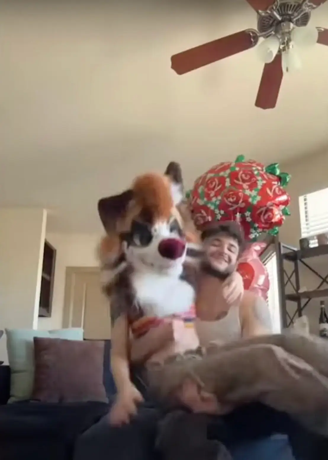 Demetrius supports Jade in her furry hobby. (TikTok/@jadethefurr)