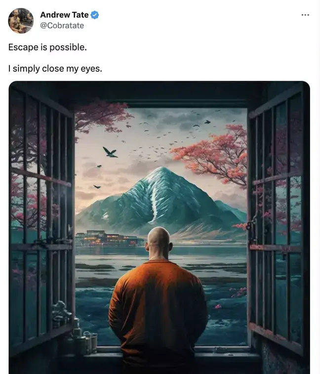 Tate's social media has remained active since his arrest.