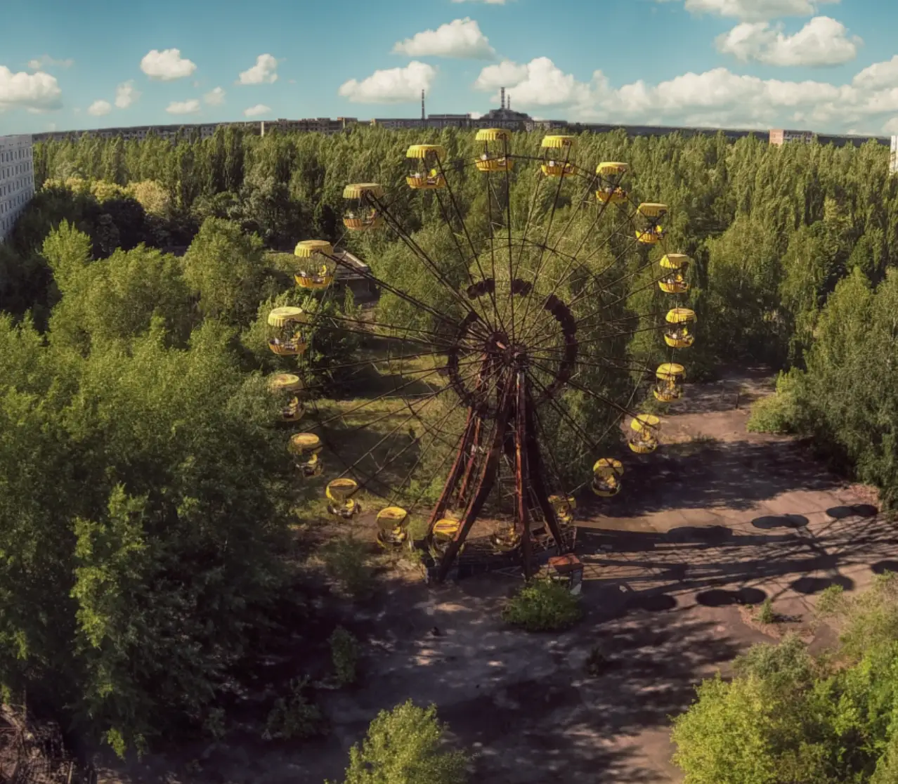 Chernobyl has been abandoned by humans since 1986.