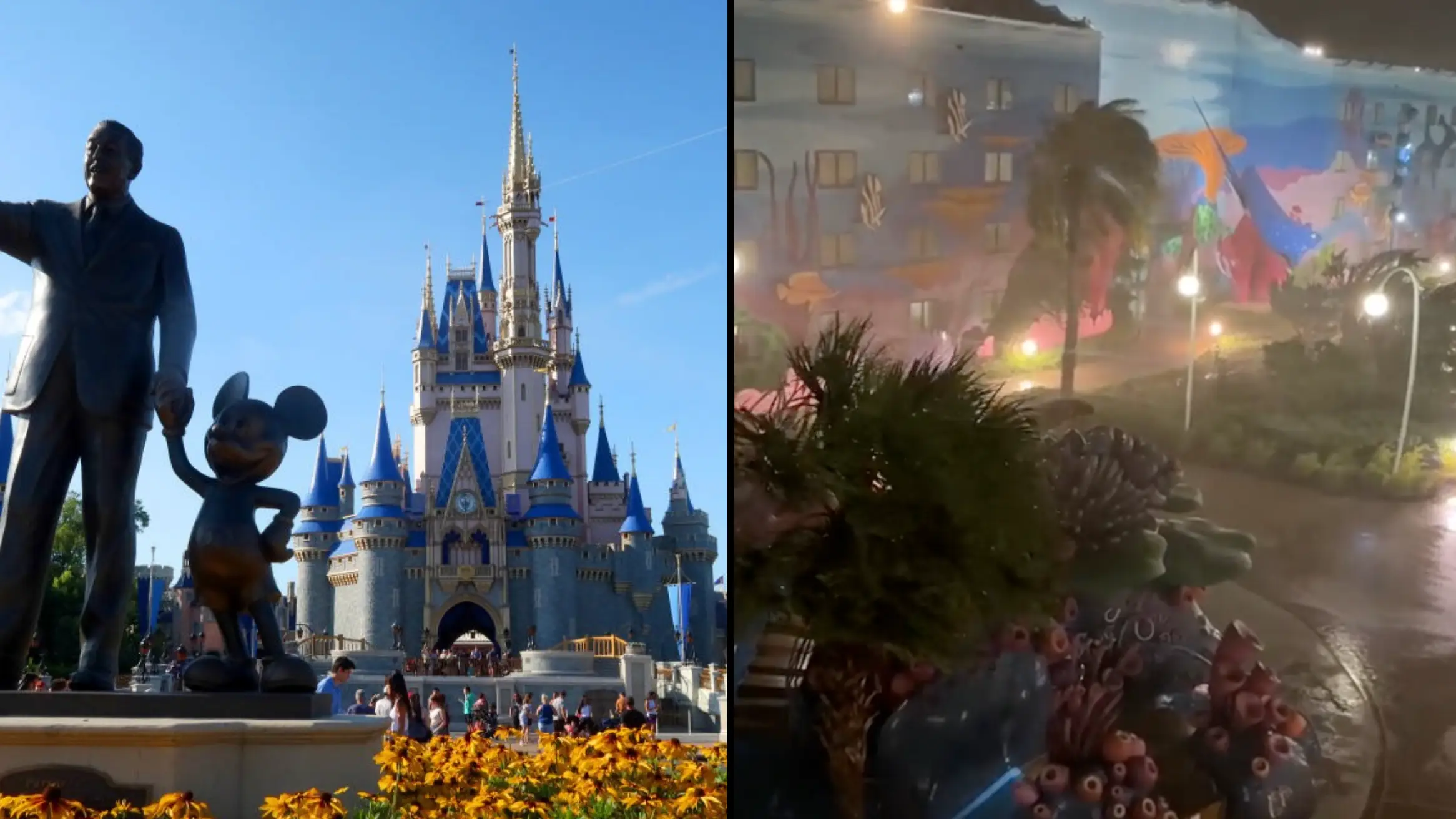 Gary Hershorn/Getty Images  TikTok / justthemeparks