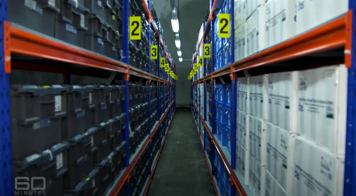 There's a lot of seeds.