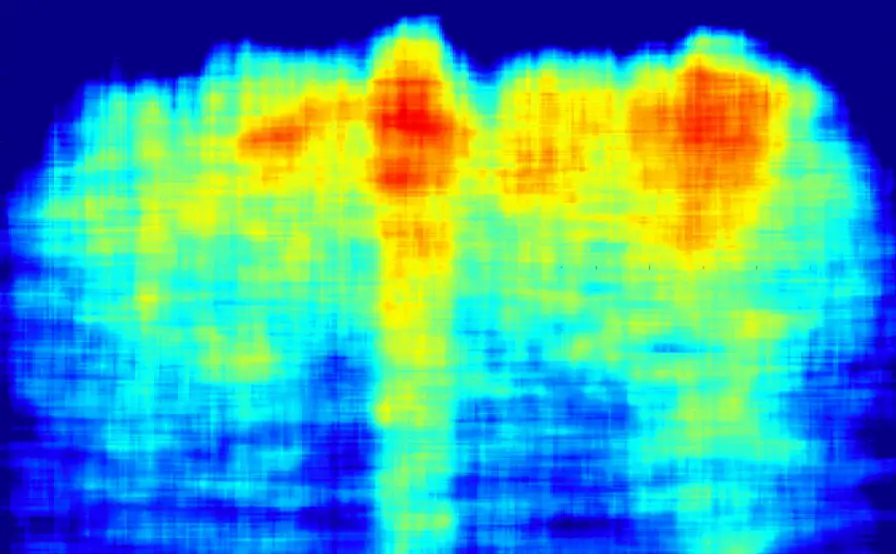 The data scientists claims proves the existence of underground network like structures (Khafre Project)