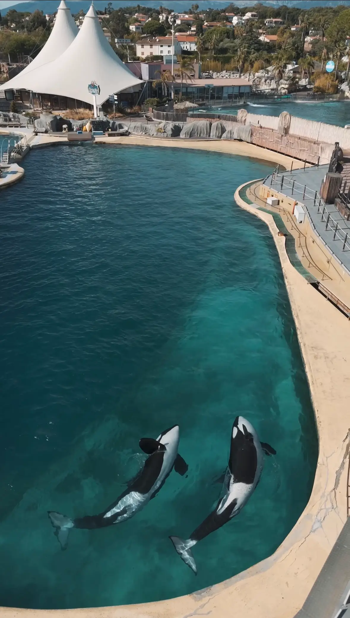 Two killer whales are still kept in the abandoned park months after it closed, and concerns have been raised about their health (Seph Lawless)
