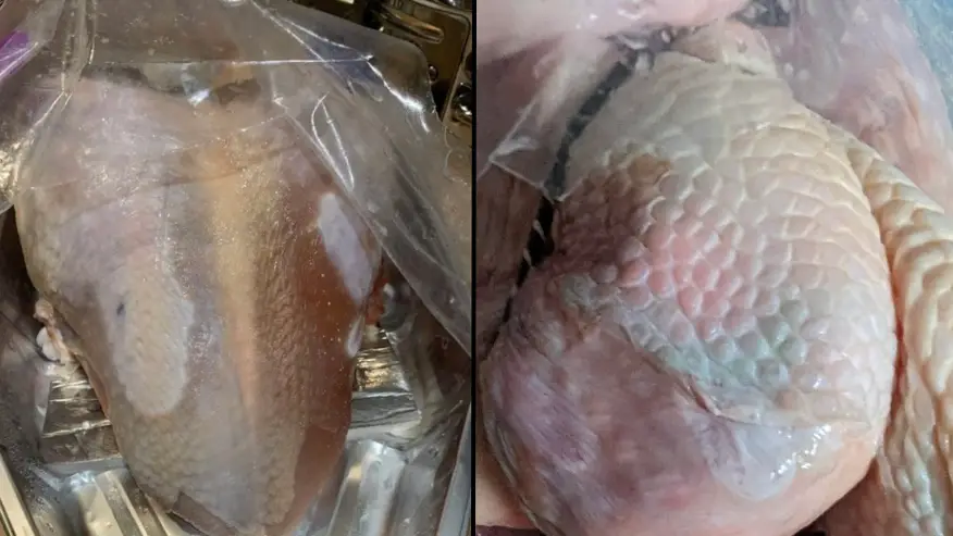 @boylecatriona/Twitter/ @Notorious2023/Twitter