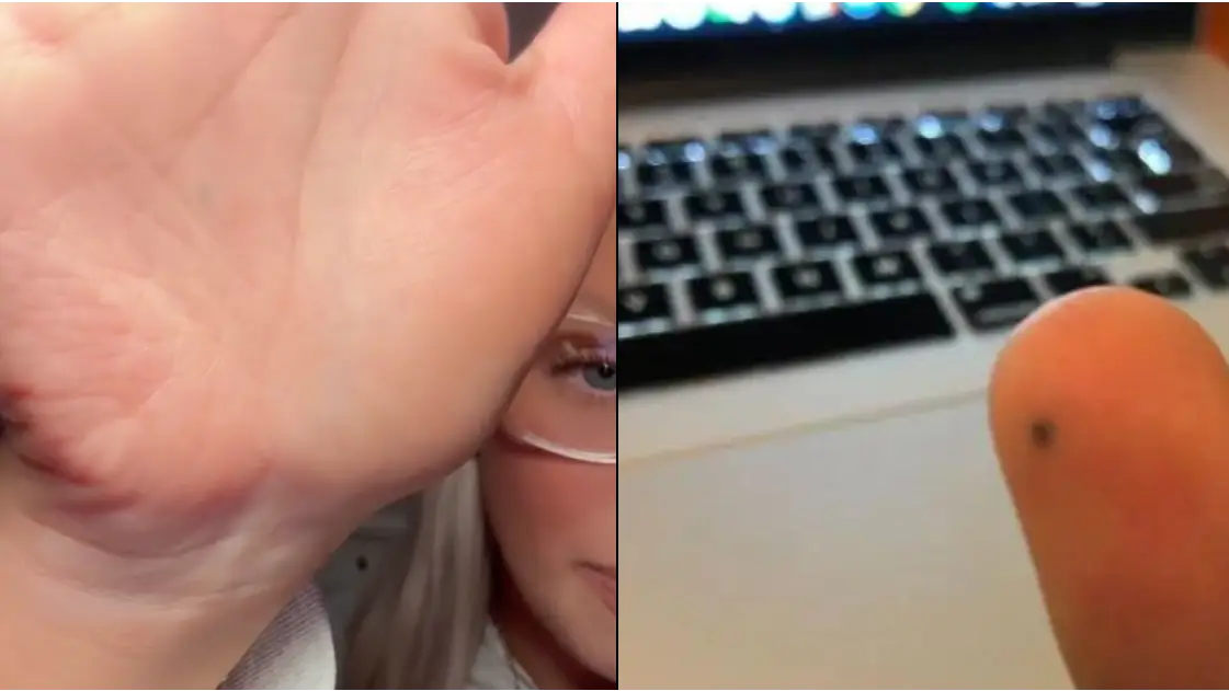 Tik Tok/@paigesiegel/X/@tuna_helicopter