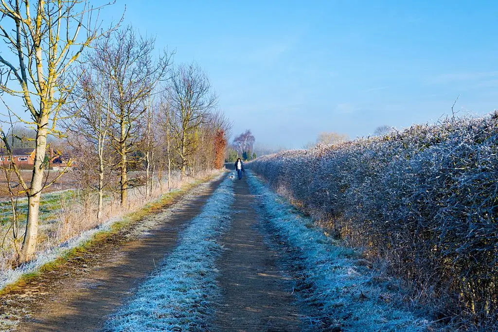 Even if it's winter, the doctor reckons you should spend some time in the sun, go for a walk after meals and get in good shape (Planet One Images/UCG/Universal Images Group via Getty Images)