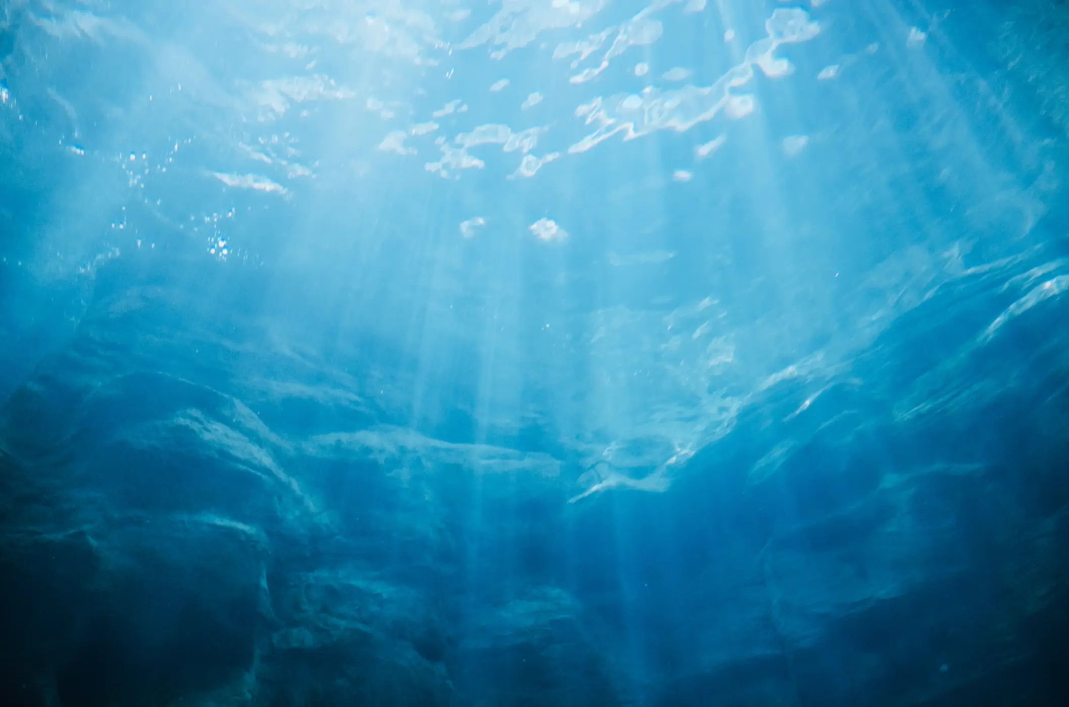 Scientists reckon the underwater event had an impact (Getty Stock Image)