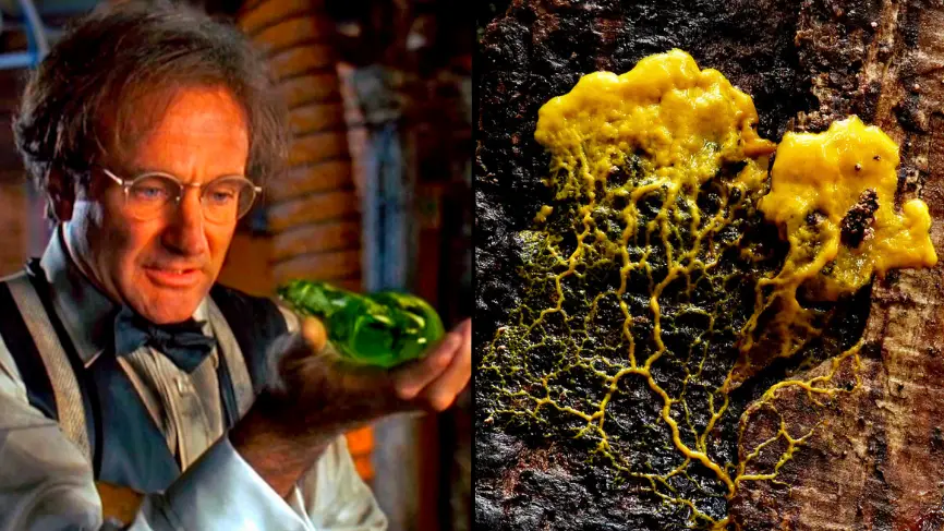 Buena Vista Productions / ART Collection / Alamy Stock Photo