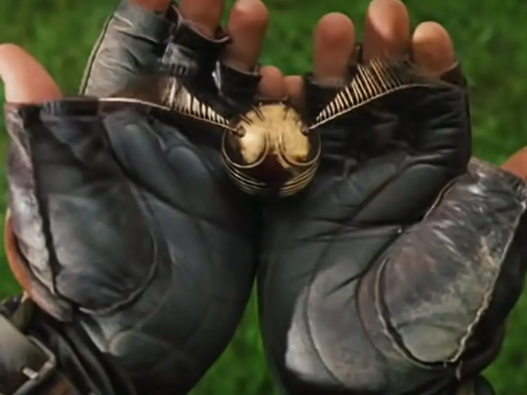 Harry basically always catches the Snitch unless he has one of his regular near-death experiences.