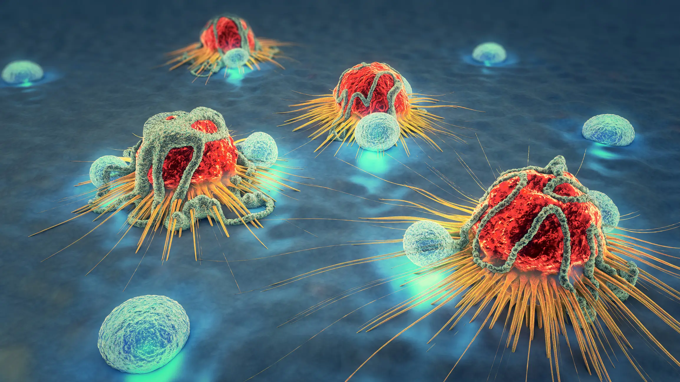 Studies indicated that creatine helped boost the cells used to attack cancer (Getty Stock Photo)