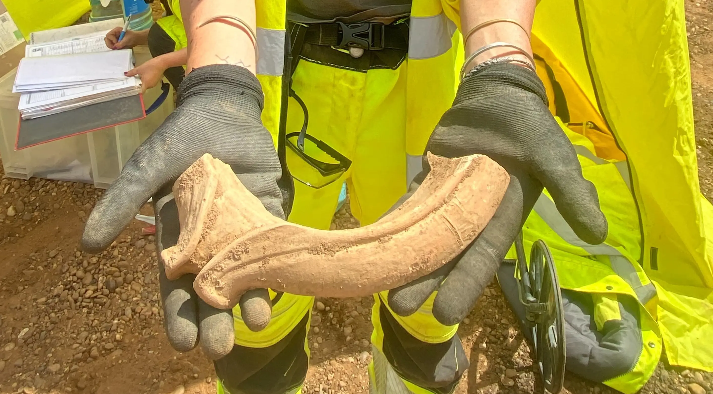 Several pieces of well-preserved Roman pottery were also discovered (National Highways/AMS)