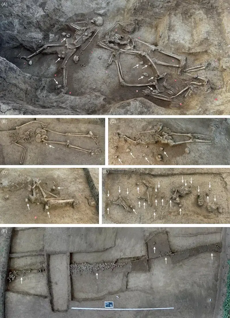 Many bodies were found without their heads, the skulls haven't been located (Proceedings of the Prehistoric Society)
