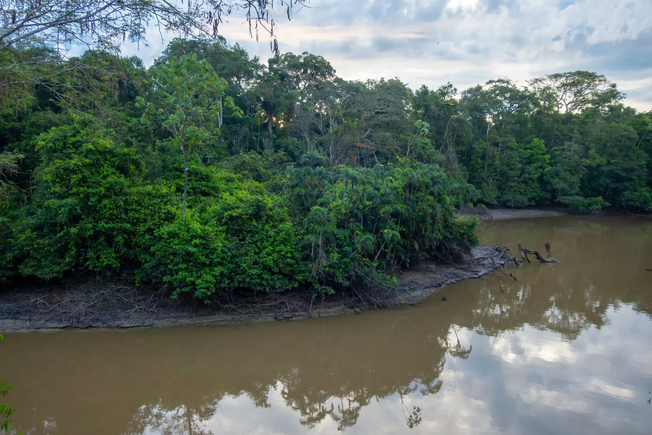 The Sucumbíos region is known for its greenery and range of wildlife (Getty Stock Image)