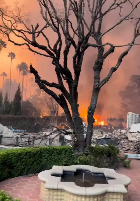 Cameron Mathison took to Instagram to share a heartbreaking video (Instagram/@cameronmathison)