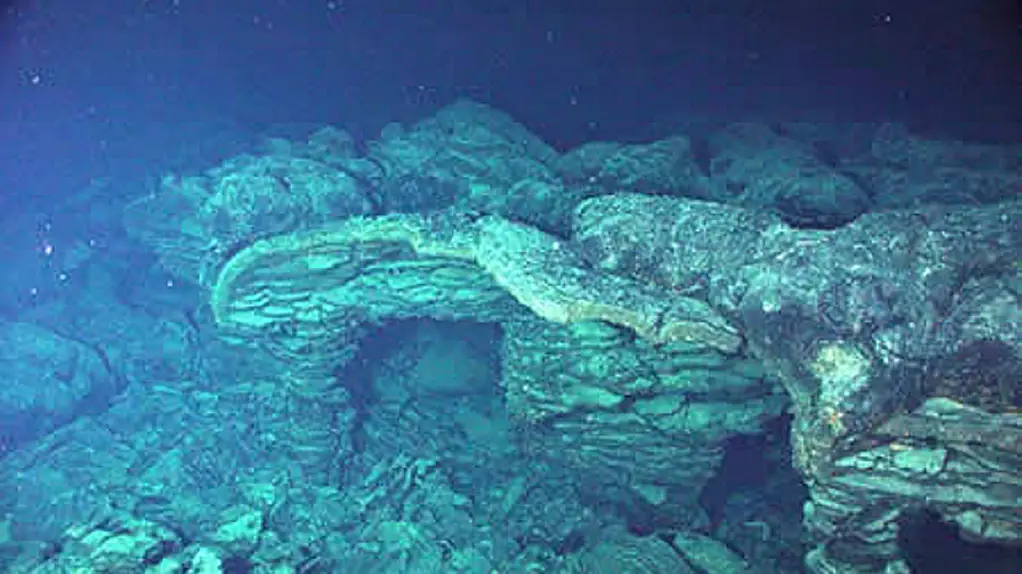 Smithsonian Institute