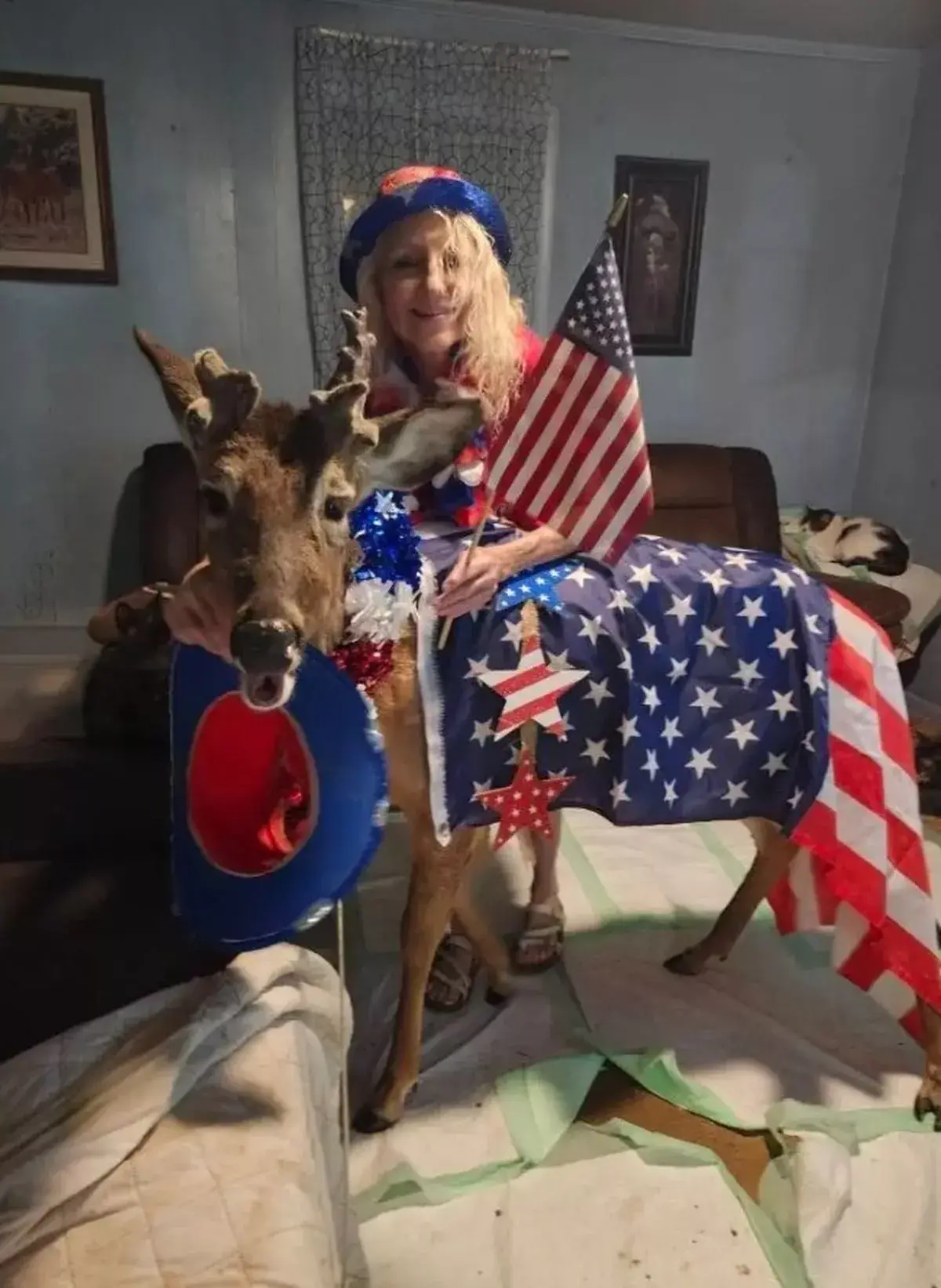 Jodi photographed with Wheezer, who she rescued after his mother was killed (Facebook/Jodi Wheezer Proger)