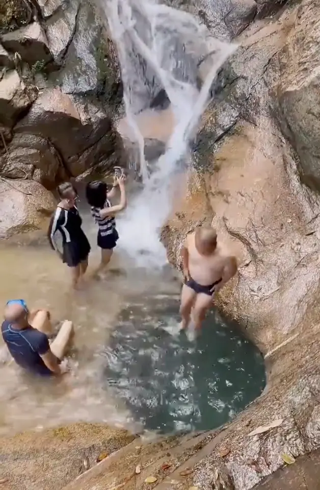 He plunged into the small pool. (X / @PicturesFoIder)