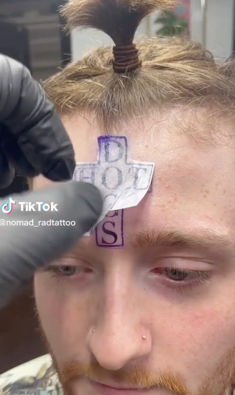 It's certainly... interesting.