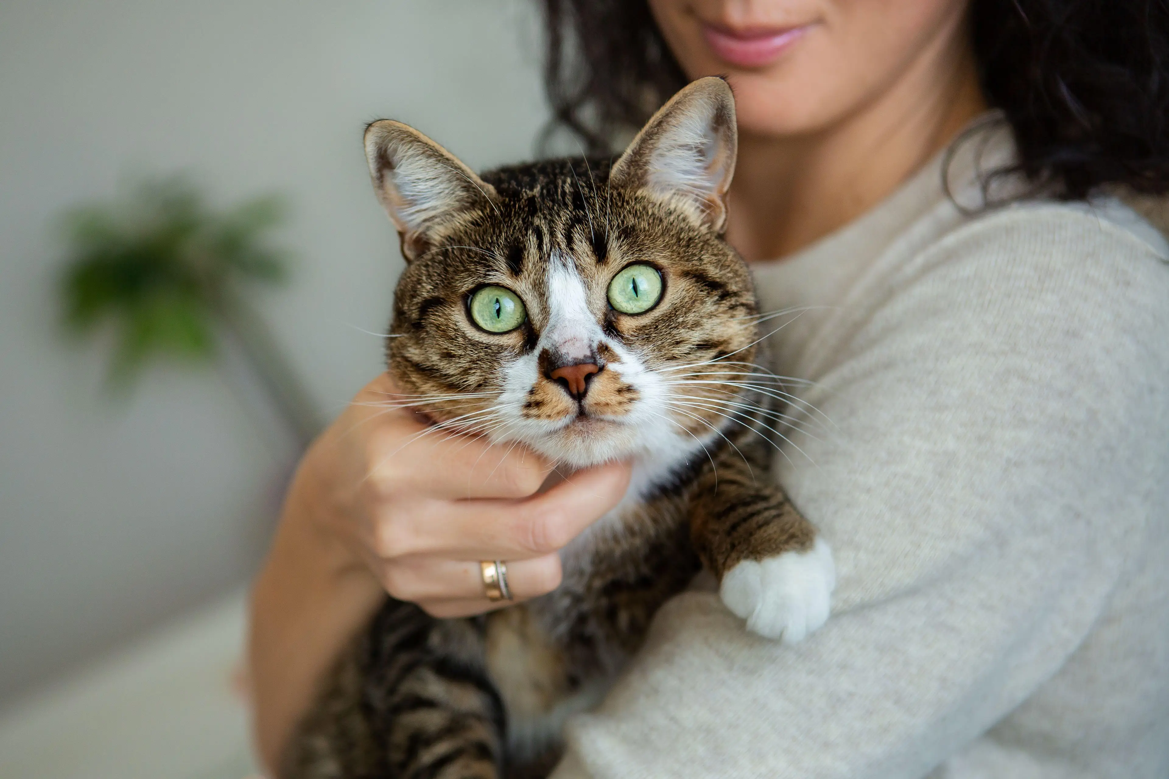 This could be you, but being paid for it.