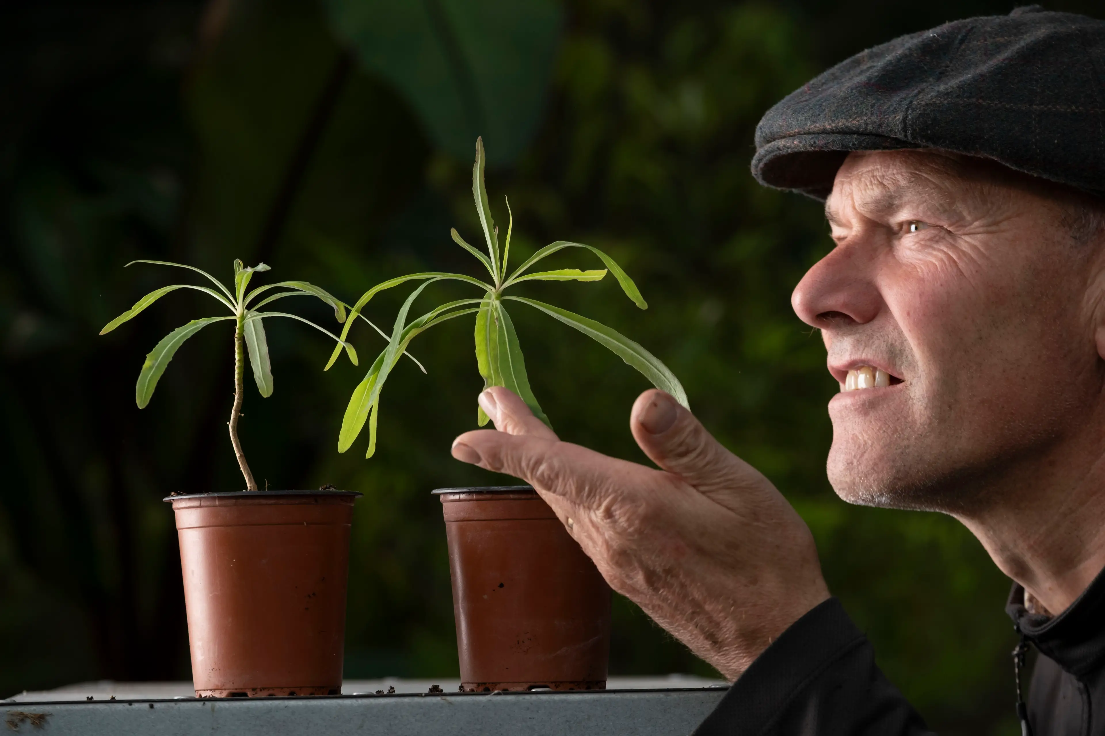 Baines was hailed as a passionate plantsman (Chris James/Royal Botanic Garden/PA Wire)