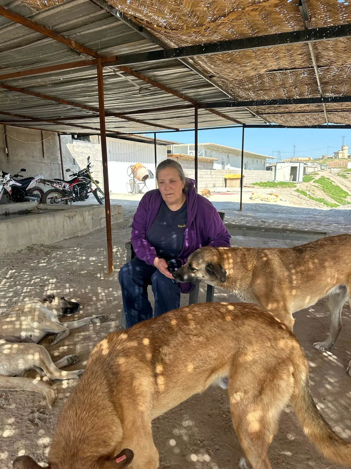 War Paws are urgently trying to raise funds. (Louise Hastie)