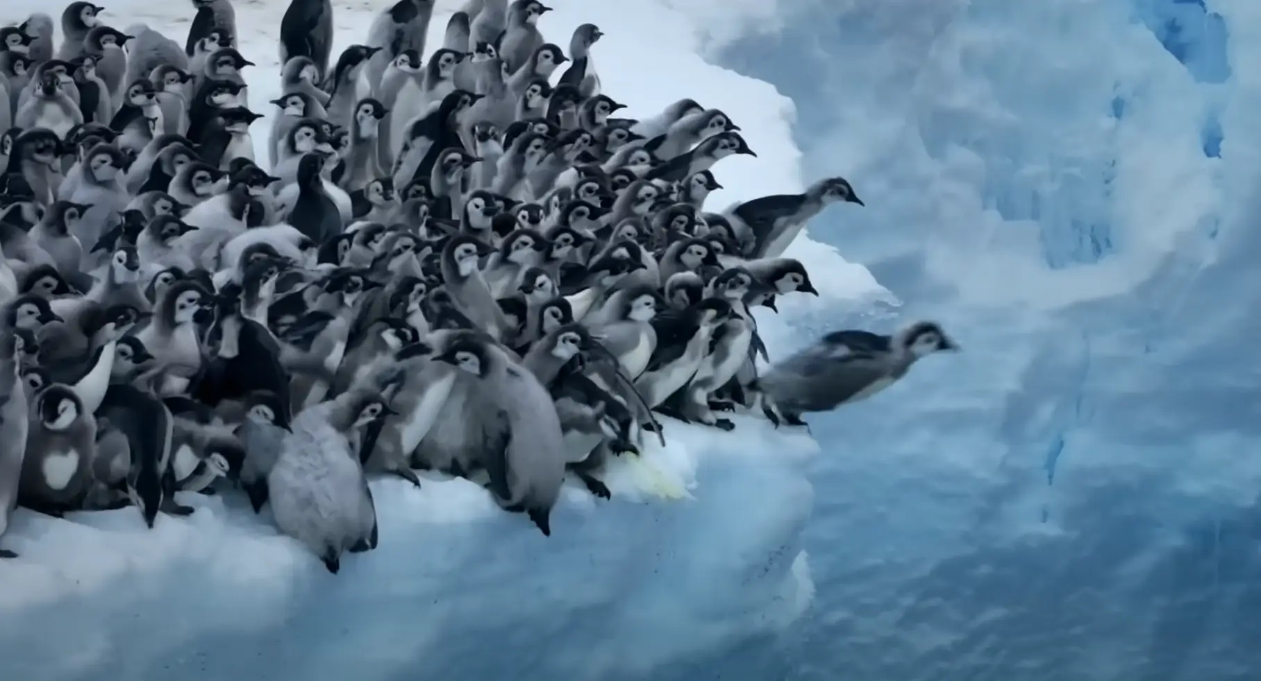 The doc airs on Earth Day next year. (National Geographic/Disney+)