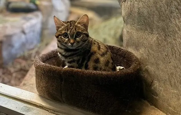 Gaia has been settling into her new place nicely.