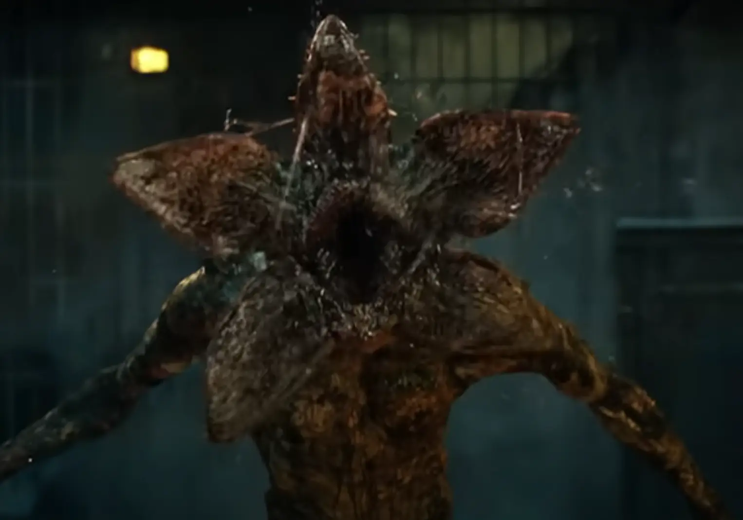 This is the clip they showed to accompany that joke (Netflix)